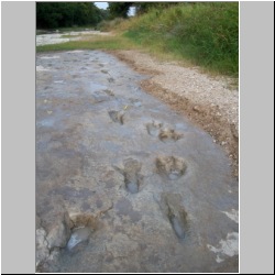 102_7499 (2013-08-19)m.JPG